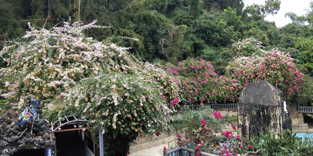 高雄
遊樂園
三桃山
探索城市